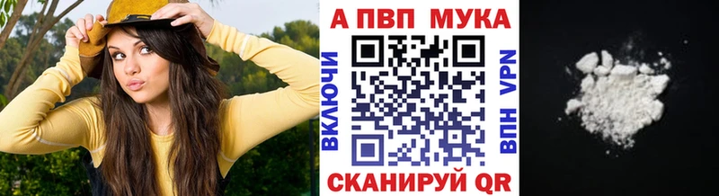 Альфа ПВП СК Сунжа